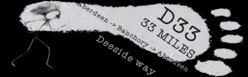 516969649 31200477152876426 4623528609633363449 n